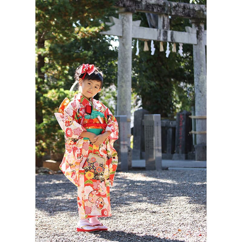 土佐神社の七五三出張撮影