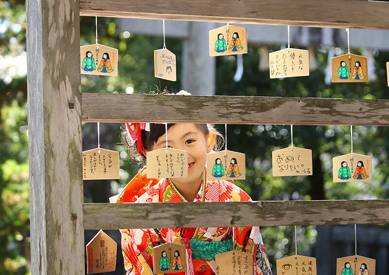 土佐神社の七五三出張撮影